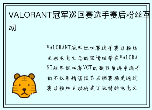 VALORANT冠军巡回赛选手赛后粉丝互动