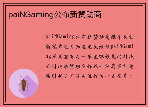 paiNGaming公布新赞助商
