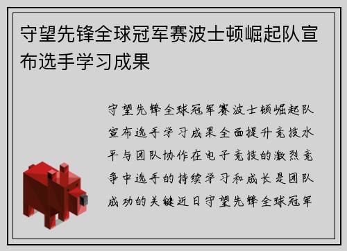 守望先锋全球冠军赛波士顿崛起队宣布选手学习成果